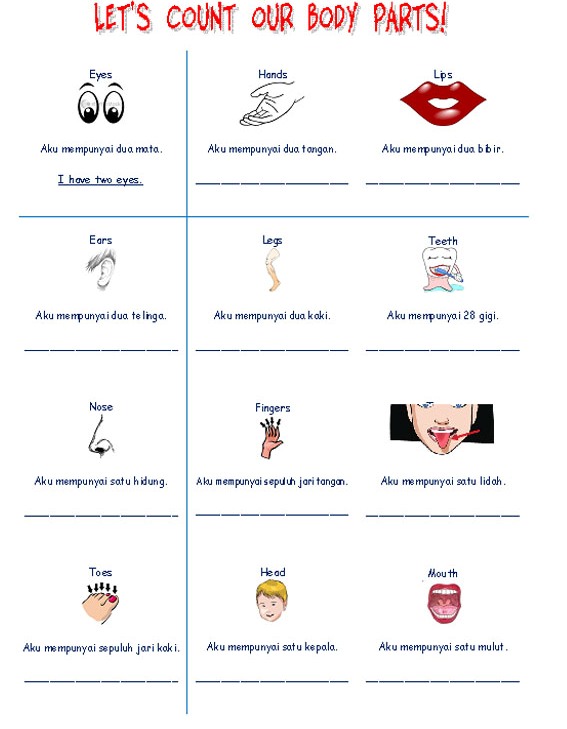 Materi Belajar Bahasa Inggris tema &quot; BODY PARTS
