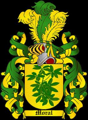 cadenas musculares segun castillo morales historia y genealog 237 a sudamericana moral o morales cadenas musculares segun castillo morales historia y genealog 237 a sudamericana moral o morales