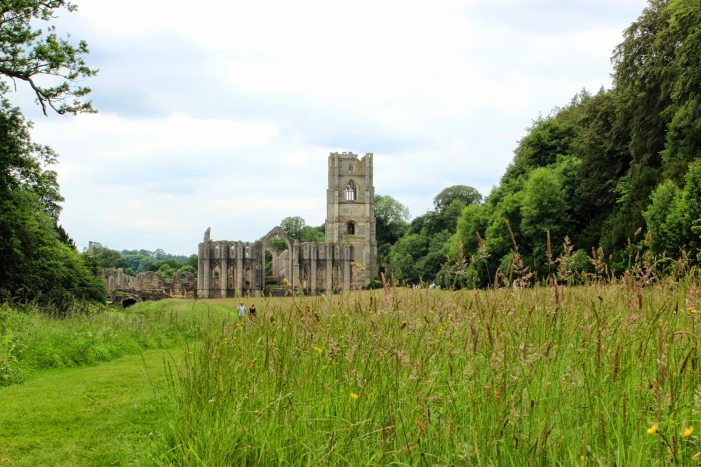 floral and feather A visit to Fountains Abbey