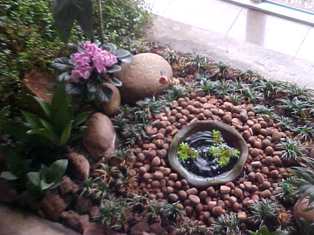 cerca de jardim barata: , Histórias e Plantas Notáveis: Paraíso Pequeno – Jardim Interno cerca de jardim barata: , Histórias e Plantas Notáveis: Paraíso Pequeno – Jardim Interno