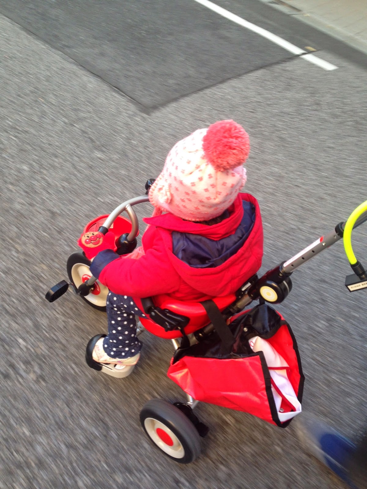 オンナコドモの鉄道旅 買うべきか 買わざるべきか 初めての愛車 三輪車