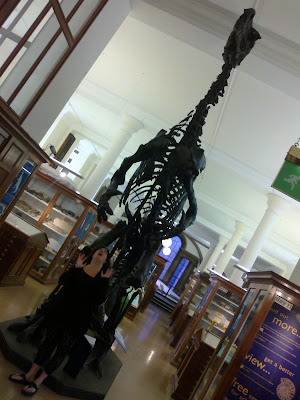 Dinosaur at Sedgwick Museum, Cambridge