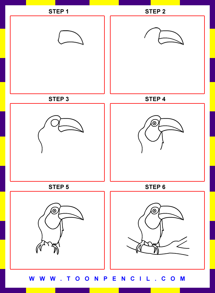 how to draw a step by step the gallery for gt toucan drawing step by step how to draw a step by step the gallery for gt toucan drawing step by step