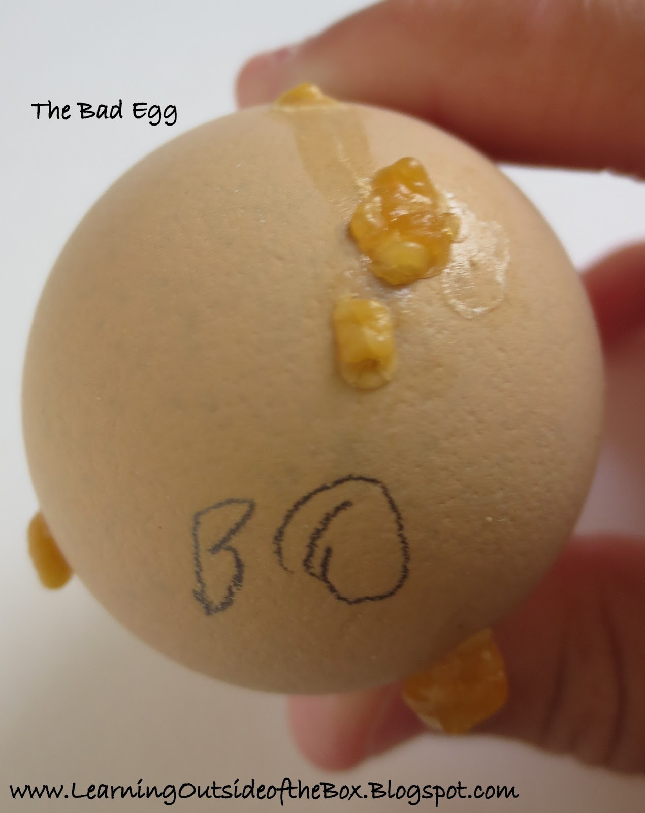 Day St And Thats Why The Picture Below Happened It Could Have Exploded And Contaminated All Of The Other Eggs If We Didnt Get It In Time Day St And Thats Why The Picture Below Happened It Could Have Exploded And Contaminated All Of The Other Eggs If We Didnt Get It In Time