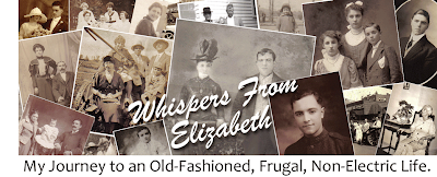 Whispers From Elizabeth