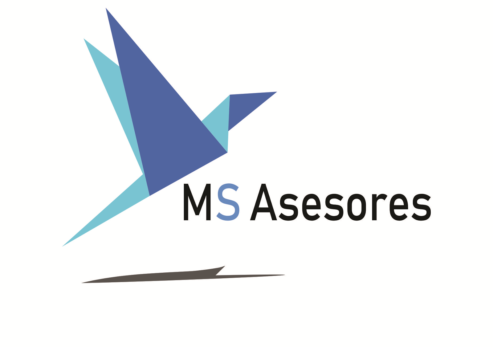 MS Asesores