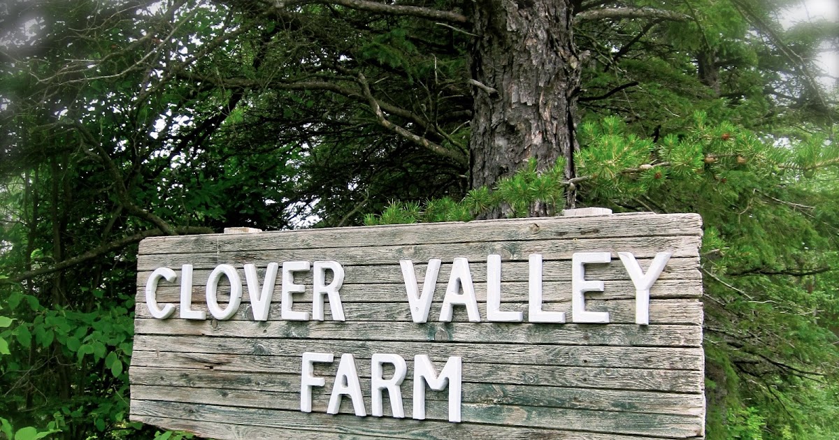 Clover Valley Farm Blog to the Clover Valley Farm Blog