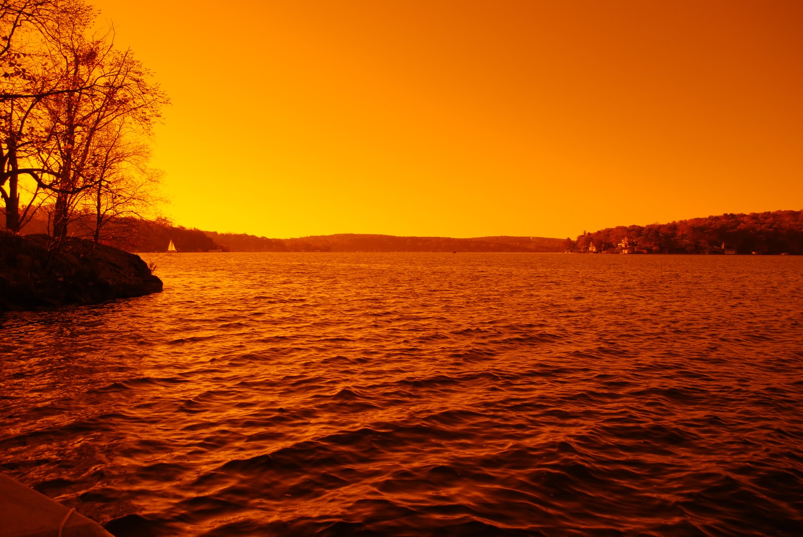 Fishing in New Jersey Jersey Hybrid Stripers Herring and Vertical