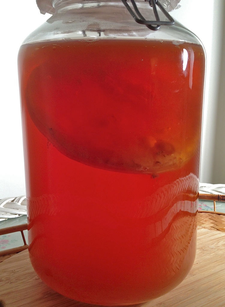 JULES FOOD... Kombucha brewed with Homemade Mother Scoby and 2nd