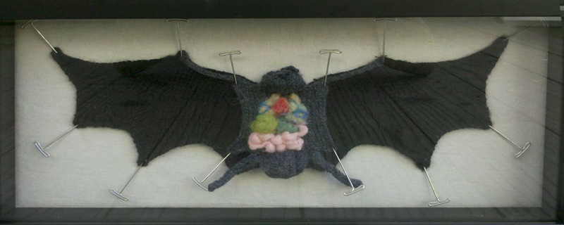 Year of the Dragon: Knit Anatomical Dissection of a Bat (by Andrea D)