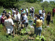 VOLUNTÁRIOS DO PNT