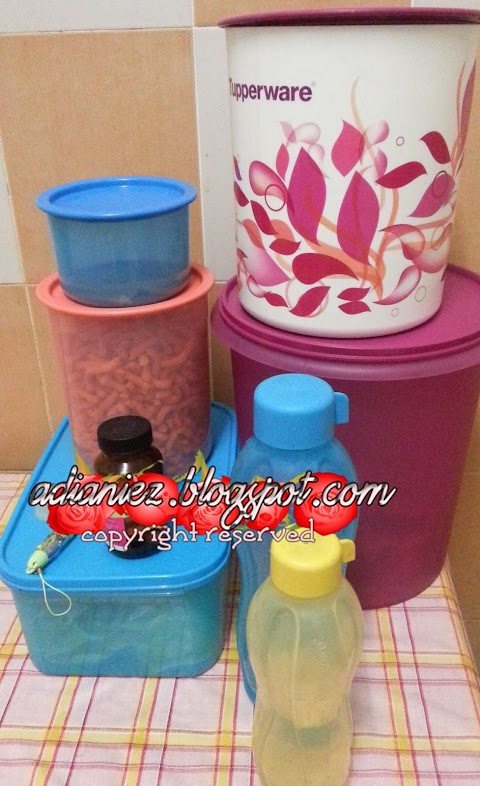 TUPPERWARE ~ SESUATU YANG TAK BOLEH DI TAHAN-TAHAN !!!