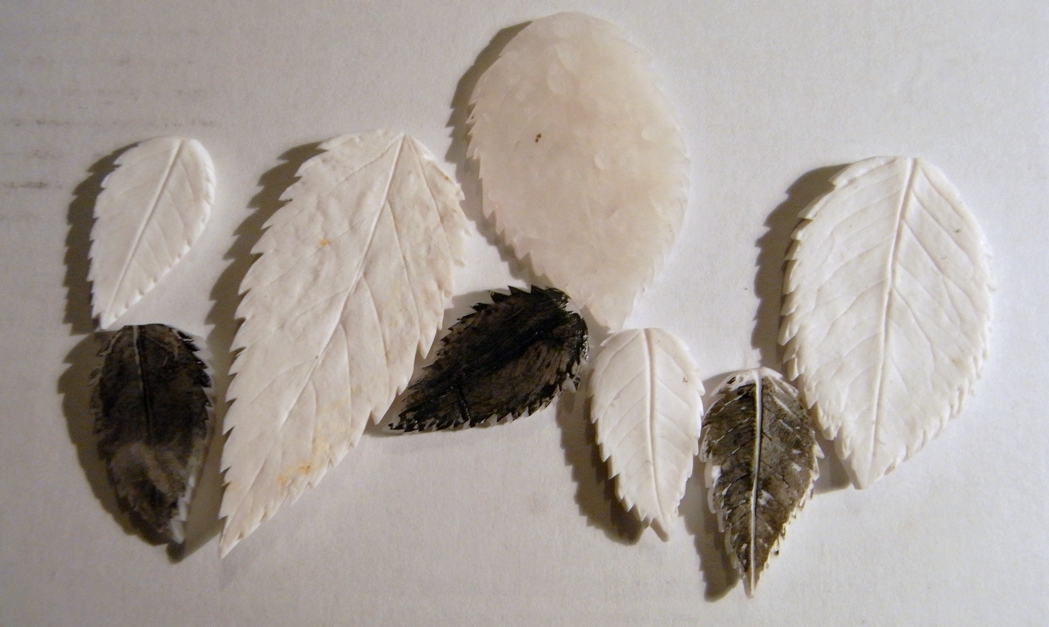 saraccino Polymer clay leaves black and white