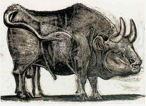 Sose 18 Jonathan Dulisch By Team Blumfeld Issuu