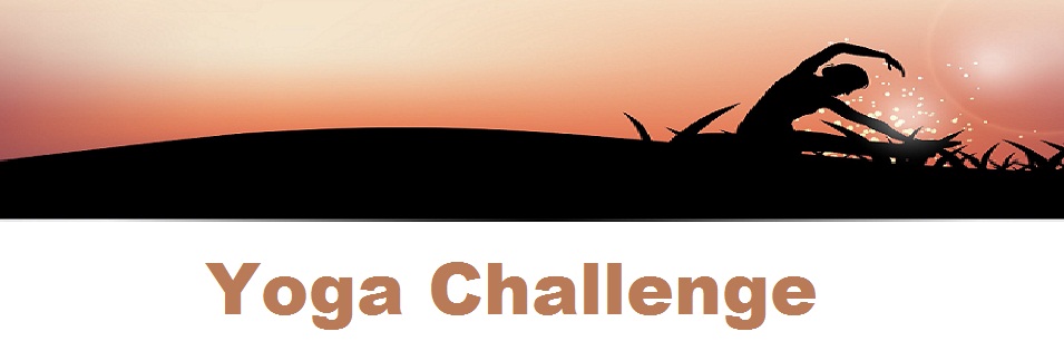 Yoga Challenge Video | Yoga Challenge Fail | Ultimate Gymnastics Yoga