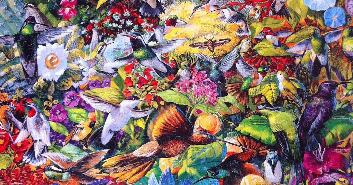 dorothy case meandering the world hummingbird puzzle dorothy case meandering the world hummingbird puzzle