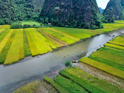 Ngo Dong River to Tam Coc