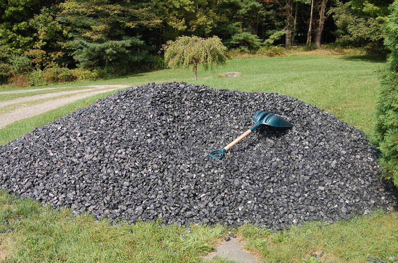 The Buddy Bee Makes Three Coal