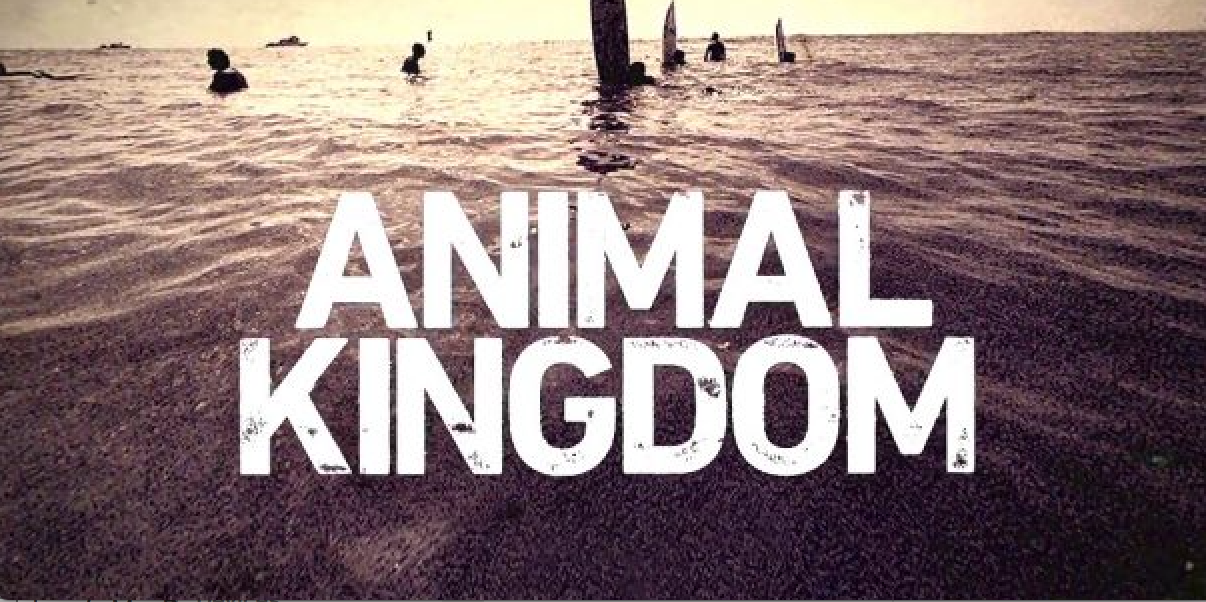 ANIMAL KINGDOM