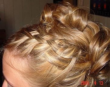 Braid Updo Hairstyles