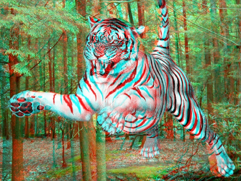 tiger-large.jpg