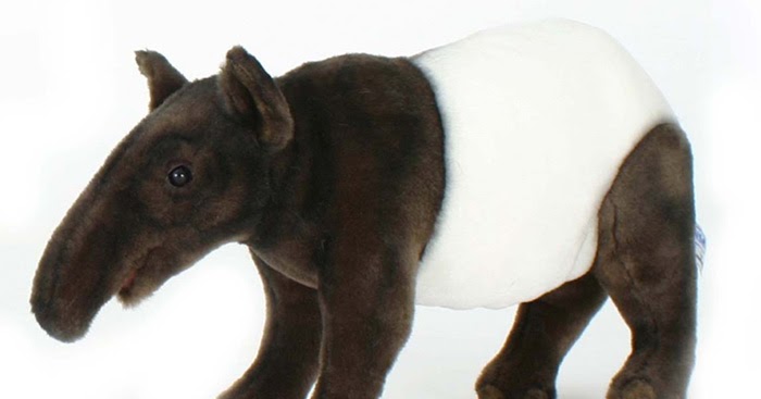 stuffed tapir