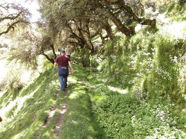 Gardening With Grace