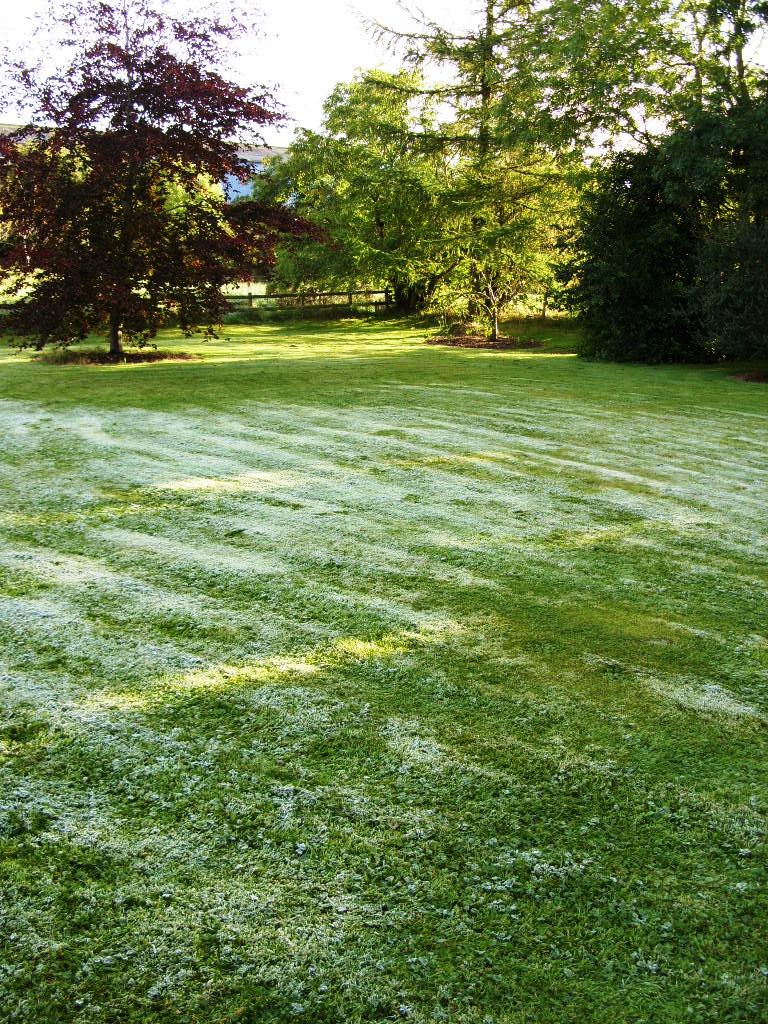 Kelli's Northern Ireland Garden September Sun (and frost)