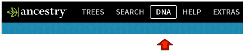 DNA and Family Tree Research: How to download your Ancestry DNA data