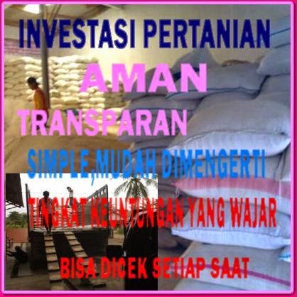 INVESTASI PERTANIAN