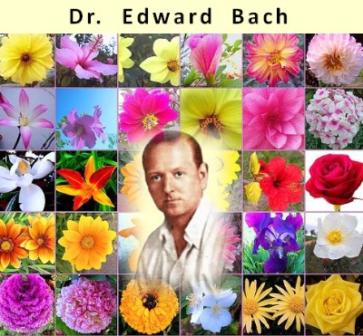 F L O R A I S :  Eles curam.  -  Obrigada, Dr. Bach!