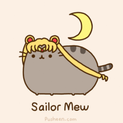 pusheen turtle