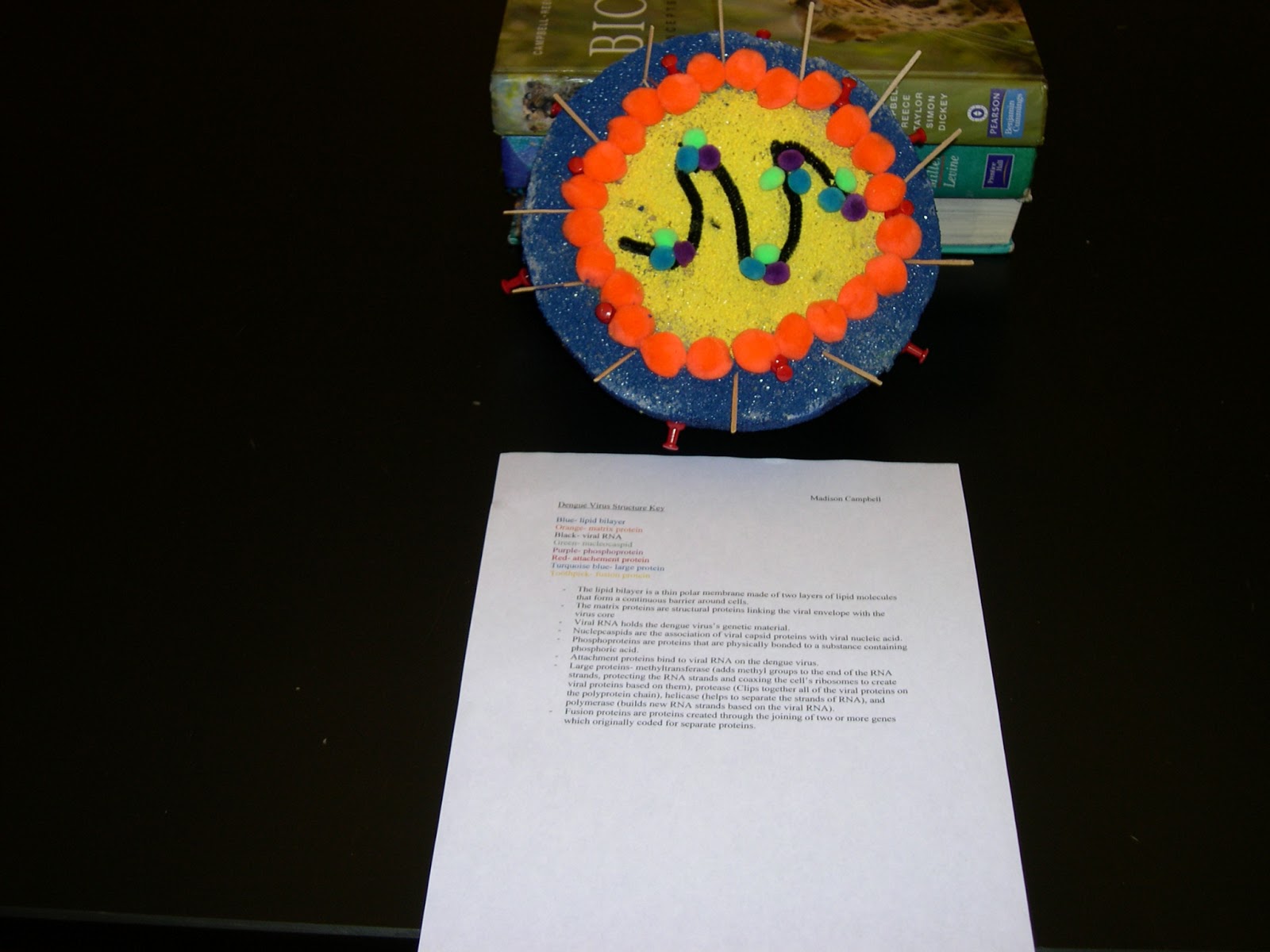 Geographical distribution of dengue biology essay image