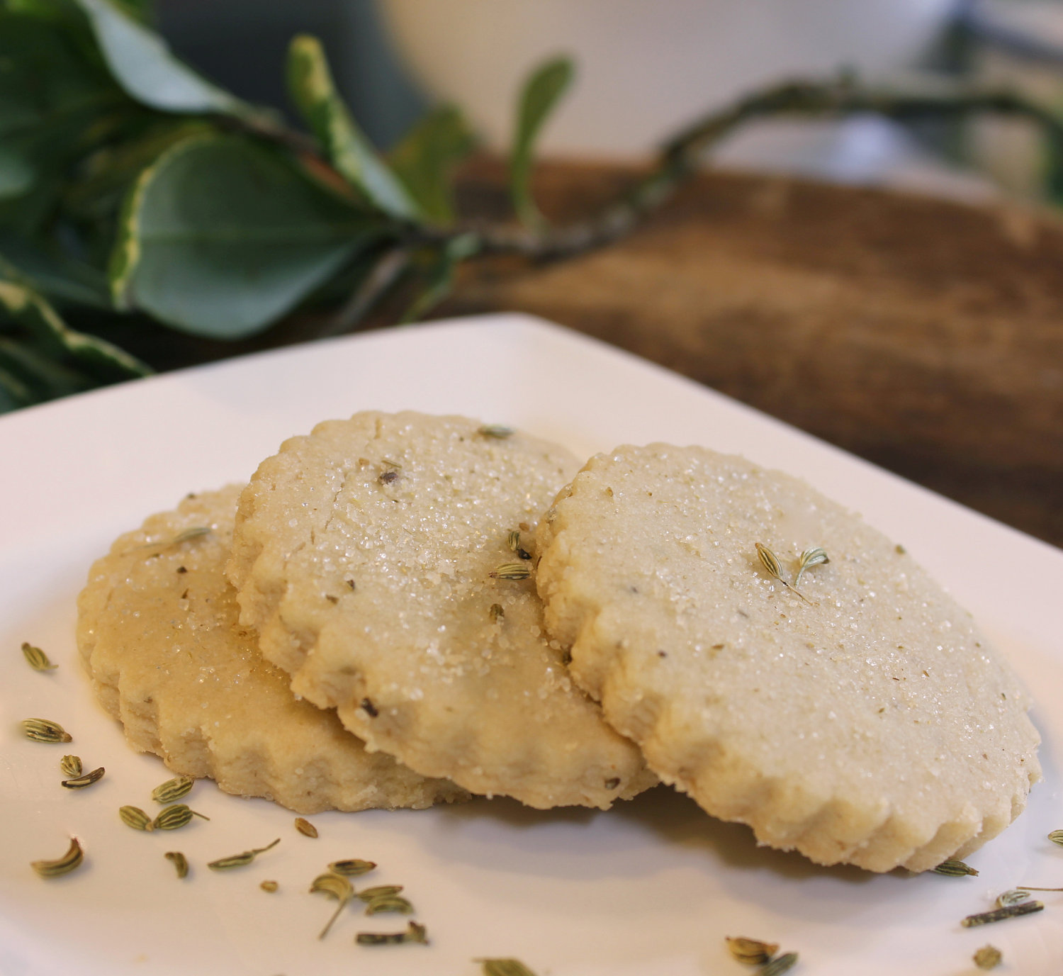 Perfume Shrine Bacchic, anisictasting cookies Mediterranean Fennel