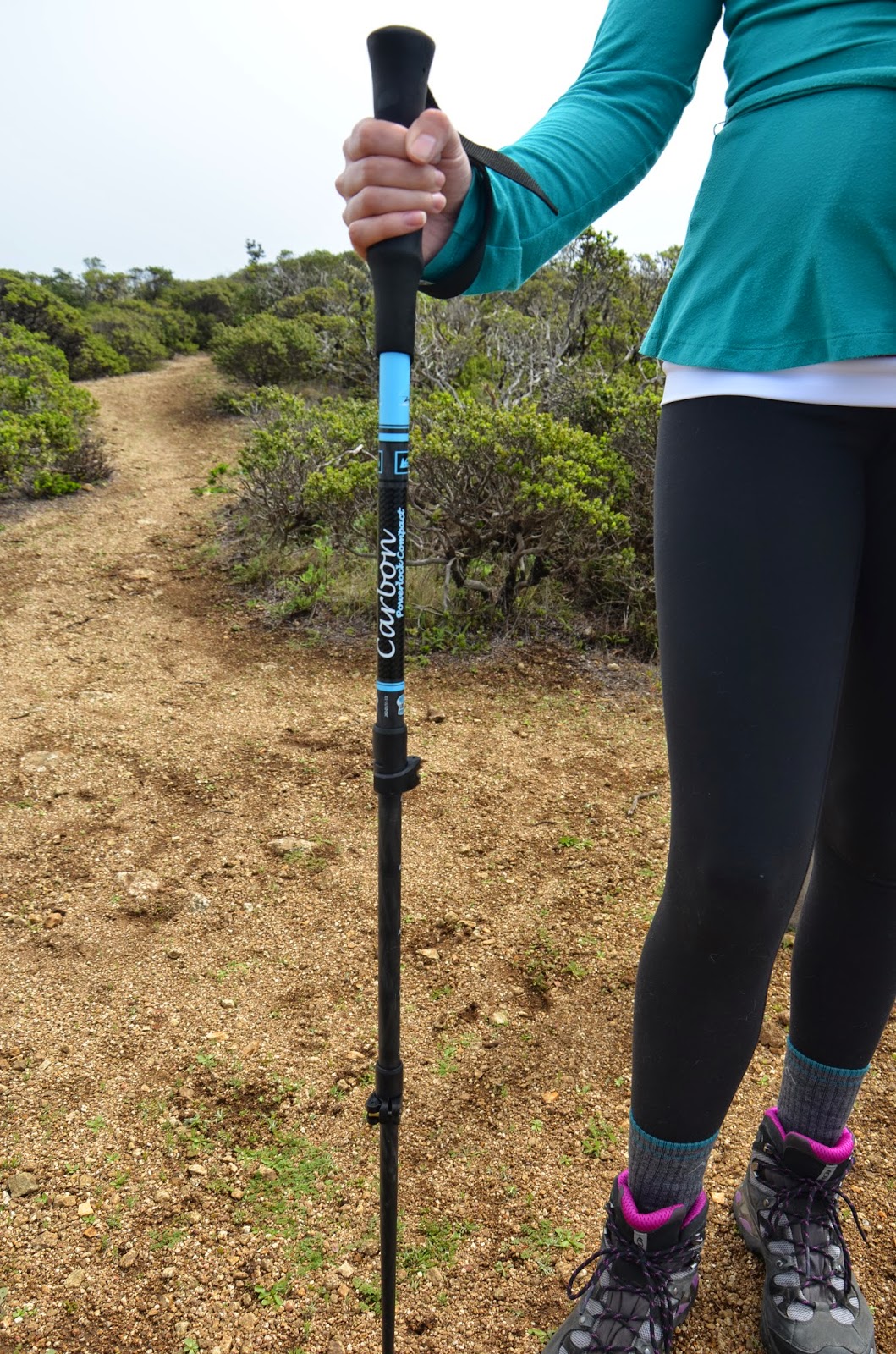 ExpeditionDan Gear Review REI Carbon Power Lock Women's Trekking Poles