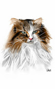 Libellés : dessin chat lace note minette portrait