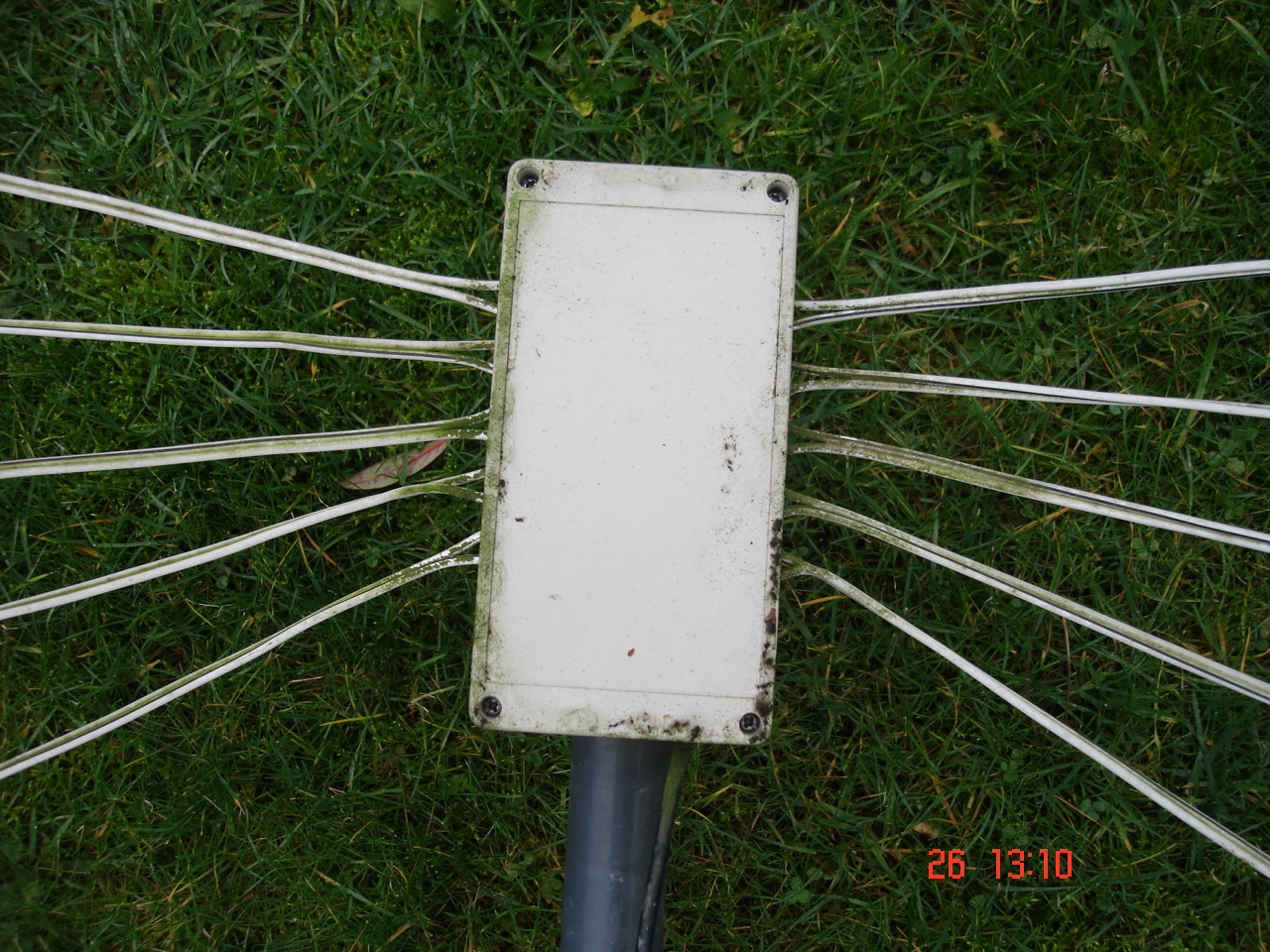 The Morse Sagas Cobweb Antennas