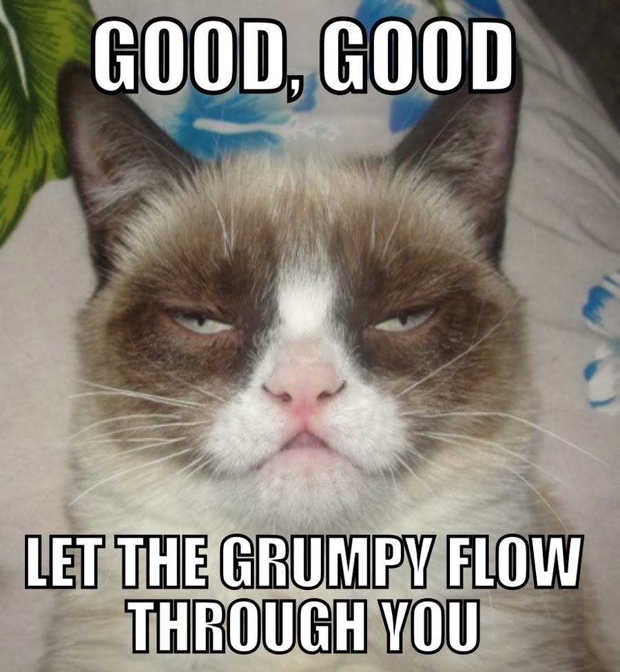 Cats Because People Suck Memes Cats Because People Suck Memes