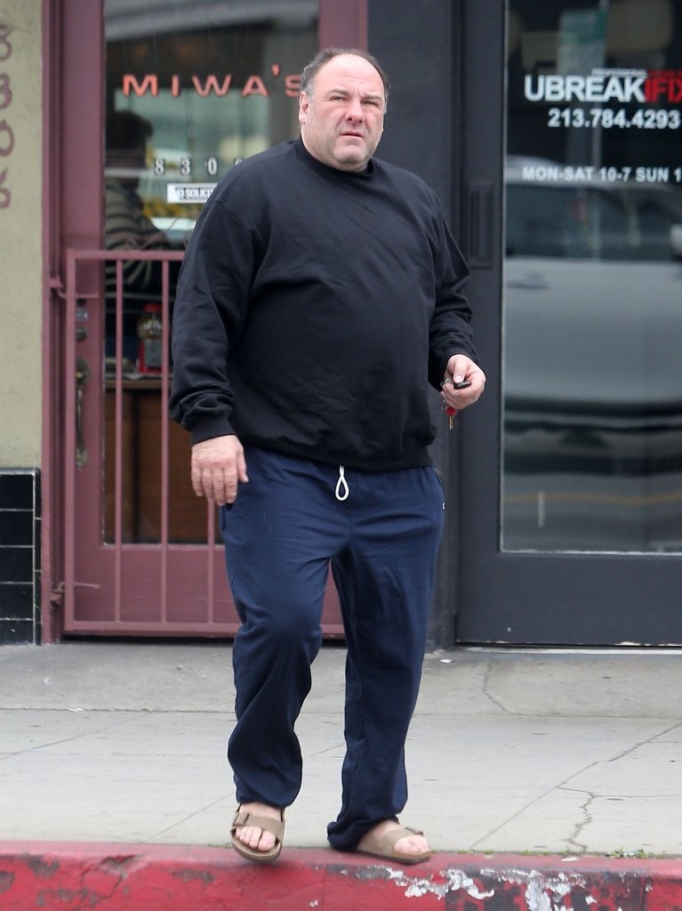 The one and only James Gandolfini!!!!! February 2013