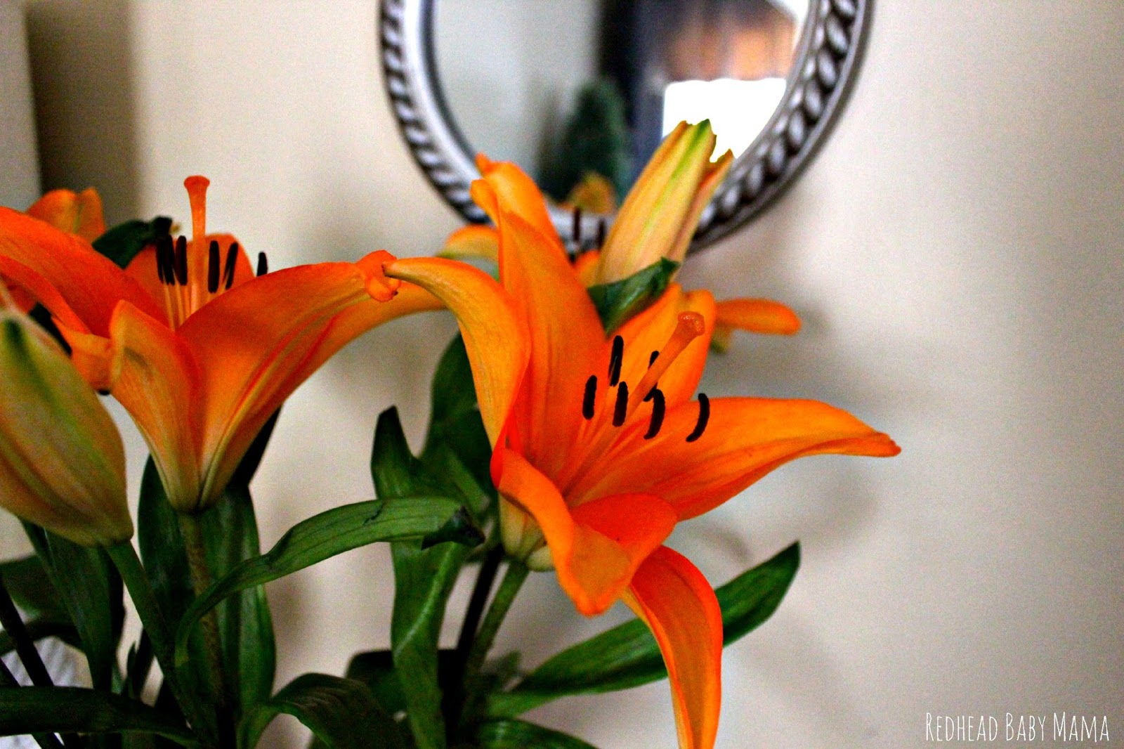 Should I Send Myself Flowers at Cynthia Knaack blog