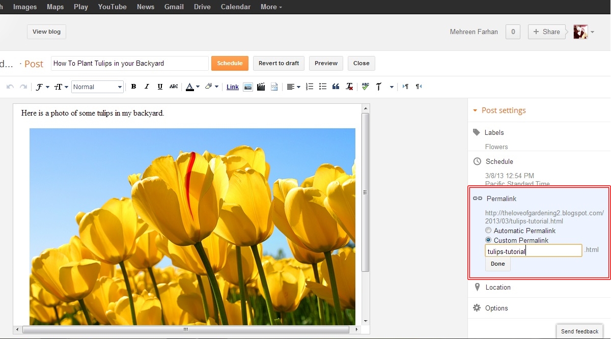 Posting Options In Blogger Blogger Help