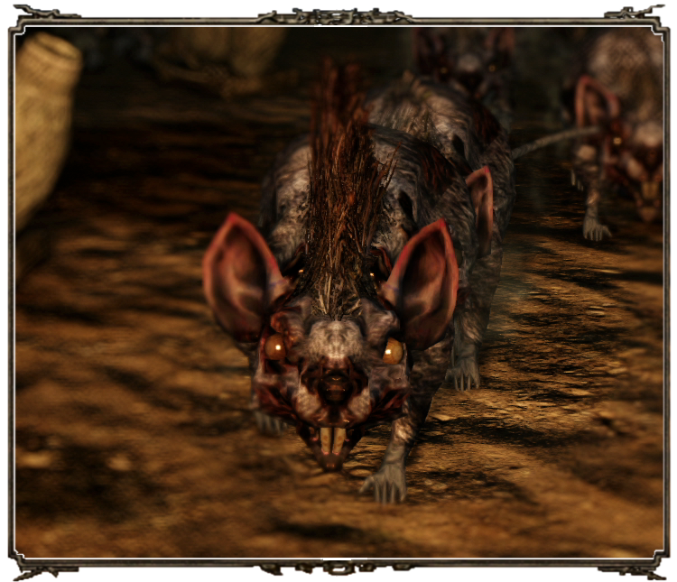 Gamer--freakz: Dark Souls II Boss Profiles: Royal Rat Vanguard/The Rotten