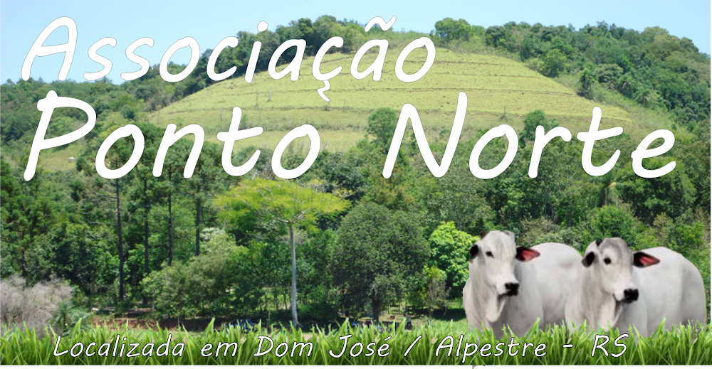 Associação Ponto Norte