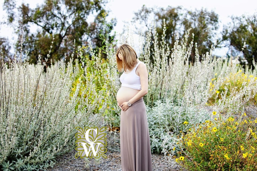 maternity family portrait willow springspark