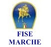 FISE MARCHE