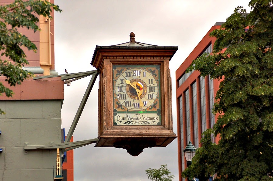 Cameo Cottage Designs * My Photography