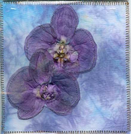 orchidee bloemen vallen af orchide 235 n orchids orchidee bloemen vallen af orchide 235 n orchids
