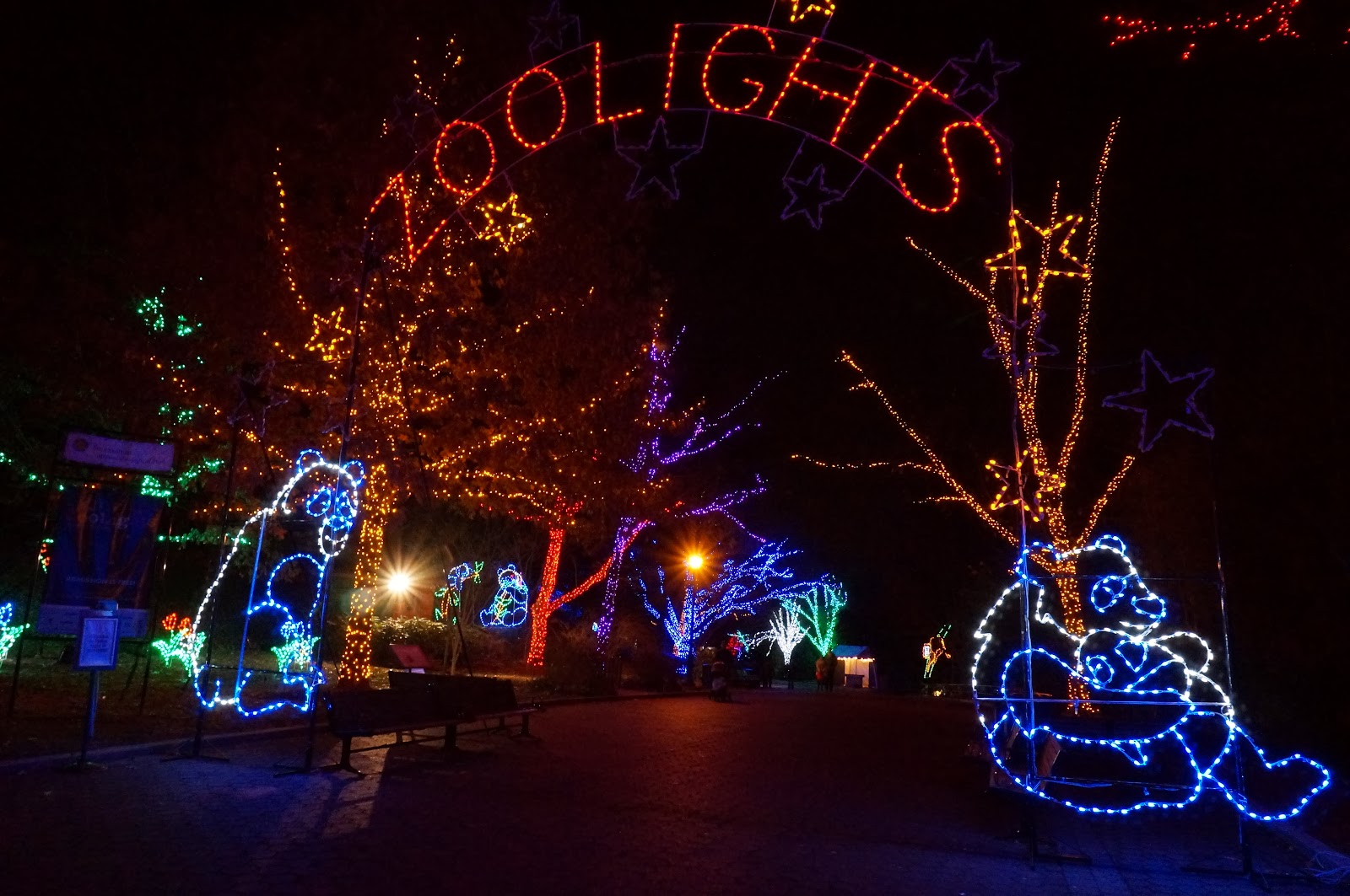 Zoo Lights Wear I Went