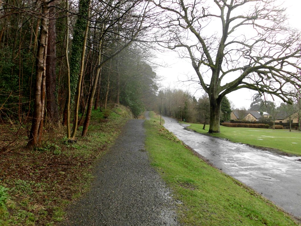 My Daily Walk Mine Wood, Bridge of Allan