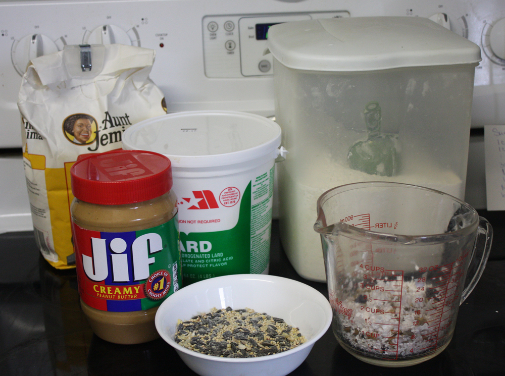 Koti Beth How to Make Suet For Birds